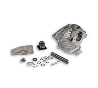 Malossi 5717892 Carter MP-One pour Piaggio Ciao 50 à allumage par rupteur
