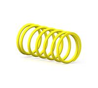 Malossi - 60954 : Ressort Contraste Embrayage Super