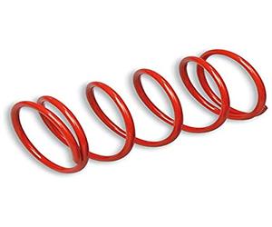 MALOSSI - 60972 : Ressort Contraste Embrayage Extra