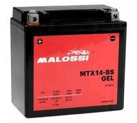 Malossi Batterie Au Gel Mtx14-bs