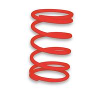 Malossi Ressort De Poulie D´embrayage 58x135 Mm