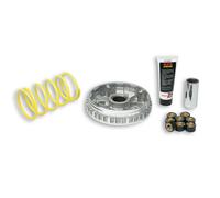 MALOSSI Variateur Multivar 2000