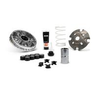 MALOSSI Variateur Multivar 2000