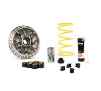 MALOSSI Variateur Multivar 2000
