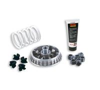 MALOSSI Variateur Multivar 2000