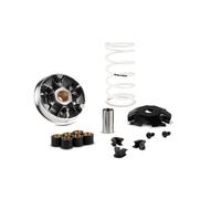 MALOSSI Variateur Multivar 2000
