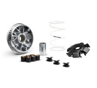 MALOSSI Variateur Multivar 2000