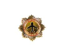 MALSSE Badge d'épaule en métal avec insigne d'aile d'aviateur pour capitaine de la Royal Air Force, badge de poitrine pour pilote d'aviation, badge d'aile pour compagnies aériennes, Métal