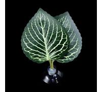 MALSSE Bettas Hamac à ventouse pour plantes - Lit de feuilles réaliste - Pour aquariums, décoration d'habitats