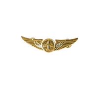 MALSSE Épingle en Métal Aile d'Aviateur Badge de Pilote Épingle de Revers Badge de Poitrine de Capitaine Badge d'Aile d'Aviation Épingle de Compagnies Aériennes pour Pilote de Vol, Métal