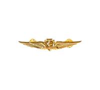 MALSSE Pin's en métal avec ailes d'aviateur, insigne de pilote, insigne de poitrine de capitaine, aile d'aviation, épinglette pour pilote d'avion, ca. 4-8 cm x 6 cm x 1 cm, Métal
