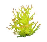 MALSSE Plante aquatique artificielle colorée Coraux Ornements d'aquarium Décoration paysage pour embellir l'aquarium Aspect aménagement paysager Ornements d'aquariums Grand format