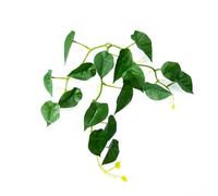 MALSSE Poisson plante ventouse lit de feuilles sous-marin tapis de repos de feuilles de poisson sol frayère pour poissons crevettes cachettes ventouse lit de feuilles