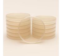 Malt Extract Agar (MEA) - Boîtes de Pétri pré-coulées - Plaques scellées - Kit de culture - Projet d'école scientifique (12)
