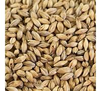 Malt Pale Ale de Weyermann pour bières de camp et ales, 1 kg, EBC 5,5-7,5