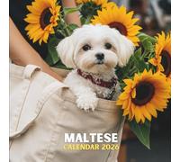 Maltese Calendar 2026: Puppy Portraits • Major U.S. Holidays Listed • Ample Month-at-a-Glance Pages • Glossy Cover | 8.5 × 8.5 in