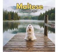 Maltese Calendar 2027: Small White Dogs with Bright and Playful Personalities | 8.5 x 8.5 In