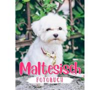 Maltesisches Fotobuch: Lateinisierte Vielfaltsposter Fuer Jeden, Der Tiere Liebt, Um Als Geschenke Zu Dekorieren 40+ Seiten Hochwertige Bilder Fuer Die Rueckkehr Zur Schule Zur Entspannung.