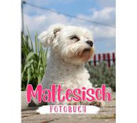 Maltesisches Fotobuch: Lateinisierte Vielfaltsposter Fuer Jeden, Der Tiere Liebt, Um Als Geschenke Zu Dekorieren 40+ Seiten Hochwertige Bilder Fuer Die Rueckkehr Zur Schule Zur Entspannung.