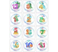 MALUGOGO Autocollants Photo Bébé Étapes la pour Importantes Adhésifs en Papier, 12 Pièces, Accessoires pour Mémoriser Croissance -né