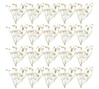 MALUGOGO Bouquet de Fleurs Séchées Gypsophile Naturel pour Décoration Maison, Facile à Entretenir, 1 Paquet 80 Branches, pour Photos et Ambiance Mariage
