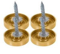 MALUGOGO Lot de 20 Cache-vis en Acier Inoxydable 304 Brossé, Clous à Vis Décoratifs pour Miroir de 22 Mm, Fixation pour Panneaux en Verre Intérieur et Extérieur, Quincaillerie pour Miroirs