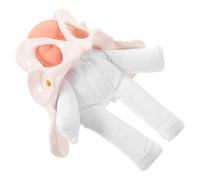 MALUGOGO Outil Éducatif Modèle Pédagogique Anatomique Précis de Accouchement Miniaturisé de Bassin et Compact pour Démonstration pour Formation Scientifique