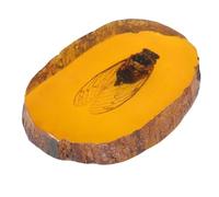 MALUGOGO Spécimen D'insecte et Décoration Intérieure pour Collection en Résine Orange D'ambre Artificiel Ornement Unique et Esthétique pour Passionnés de Sciences