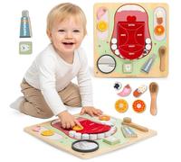 Mamabrum Montessori Tableau en Bois Petit Dentiste MAM263 - Tableau Éducatif 45x45 cm - Dents, Brosse, Miroir, Saveurs - Apprentissage de l'Hygiène pour Enfants 18m+