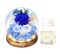 MAMAMIKO Rose Eternelle sous Cloche, LED, Fleur Eternelle Cadeau, Idée Boite Rose Eternel, Cadeau St-Valentin, Femme, Anniversaire, Copine, Amie, Fête des Mères, Mere, Grand Mere(Rose Bleu)