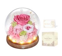 MAMAMIKO Rose Eternelle sous Cloche, LED, Fleur Eternelle Cadeau, Idée Boite Rose Eternel, Cadeau St-Valentin, Femme, Anniversaire, Copine, Amie, Fête des Mères, Mere, Grand Mere(Rose)