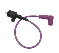 MAMEFVBB Bobine Allumage pour Moto Bobine d'allumage de Course, pour Moto Chinoise 50cc-250cc Dirt Pit Bike, cyclomoteur ATV Go Kart Quad Buggy Moto(Violet)