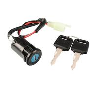 MAMEFVBB Bobine Allumage pour Moto Interrupteur D'allumage pour Quad 50cc-250cc, 4 Roues, ATV, pour Dirt Pit Bike, Interrupteur De Démarrage À Fil, Serrures De Porte, 2 Clés(2 Wires Male Plug)