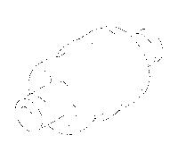 mamelon Dornbracht 0924042152090 09240421520 D.28,5 x 60 mm