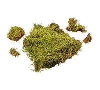 MaMeMi Moos Sac de Mousse Naturelle pour Crèche - Mousse de Noël Séchée d’Allemagne | Décoration Crèche, Paysages Miniatures, DIY & Loisirs Créatifs