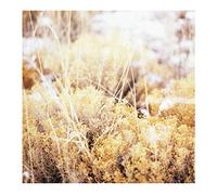 Mamiffer - The Brilliant Tabernacle [Vinyl] [Import]