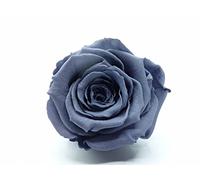 mamikatou Rose ETERNELLE Grise pour LA REALISATION DE Decoration Florale Durable, A ASSOCIER avec du Sable Colore ET Un Petit Vase OU Autre Selon Votre Imagination