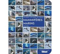 Sylvain Reyt – Mammifères marins – Un guide + un carnet de terrain