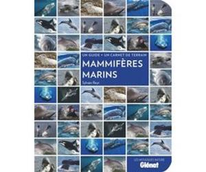 Mammifères marins Sylvain Reyt (Auteur)