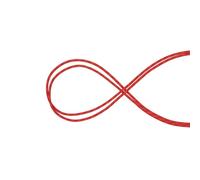 Mammut Performance Static 10.5 Mm Rope Rouge 100 m