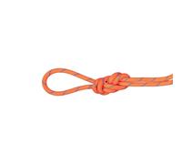 Mammut - 7.5 Alpine Sender Dry - Corde à double Fire / Blue - 60 m