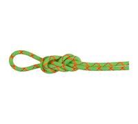 Mammut - 8.0 Alpine Core Protect Dry Rope - Corde à double - 60 m - vibrant orange