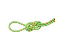 Mammut 8.0 Mm Alpine Dry 30 M Rope Assorted Vert