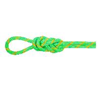 MAMMUT 8.0 Alpine Dry Rope 50m - Mixte - Vert - taille Unique- modèle 2026