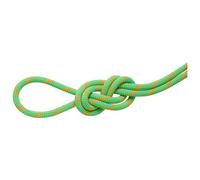 Mammut - 8.0 Alpine Dry Rope - Corde à double - 30 m - assorted
