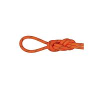 Mammut Alpine Dry 8,0mm 50m Câble d’escalade 50 Orange