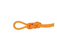 Mammut - 8.7 Alpine Sender Dry - Corde à double Vibrant Orange / Ocean - 40 m