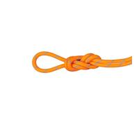 Mammut Alpine Sender Dry 8.7 Mm Rope Orange 70 m