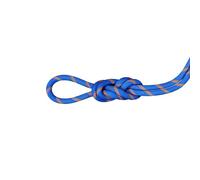 Mammut - 9.0 Alpine Sender Dry Rope - Corde à simple - 50 m - ice / sunrise