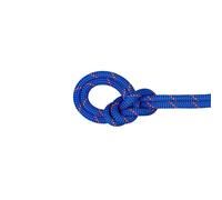 Mammut - 9.5 Crag Dry Rope - Corde à simple - 40 m - blue / ocean